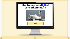 Hoeckerschwan.zip